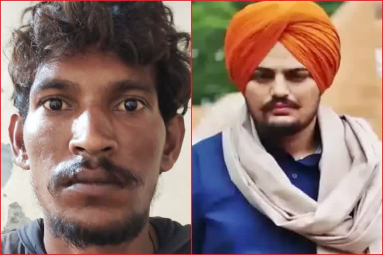 Punjab Police arrested Bittu singh