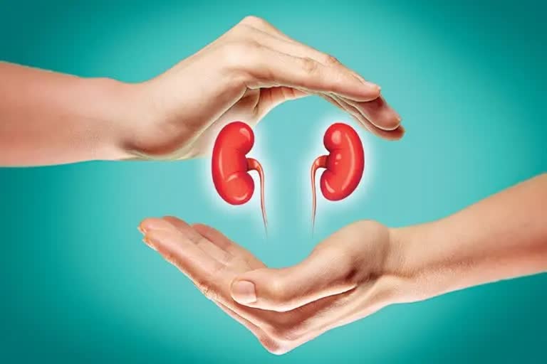 Health Tips For hereditary kidney disease