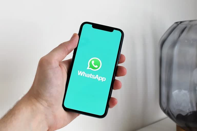 whatsapp camera shortcut for iphone users also new feature whatsApp premium