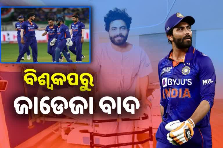 T-20 World Cup: ଭାରତୀୟ ଟିମ୍ ଘୋଷଣା, ଫେରିଲେ ବୁମରା-ହର୍ଷଲ