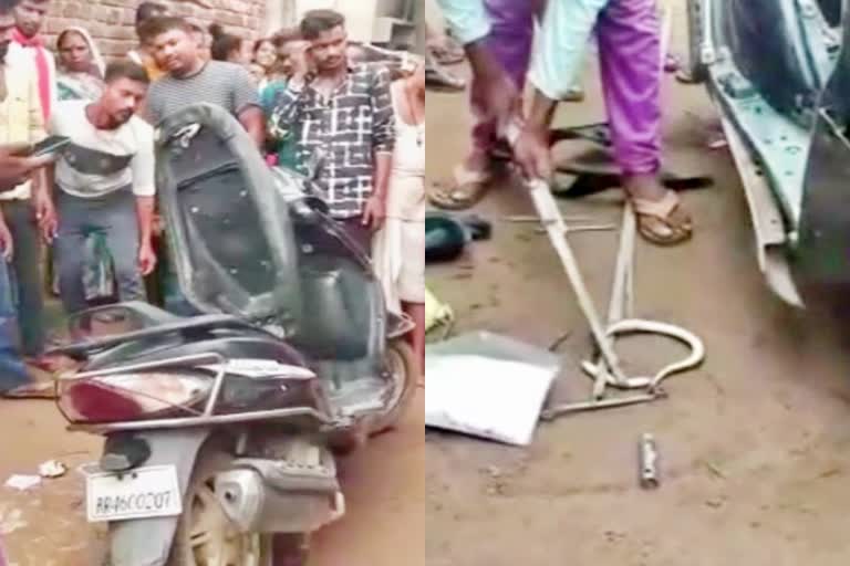 snake found from scooty in Jamui