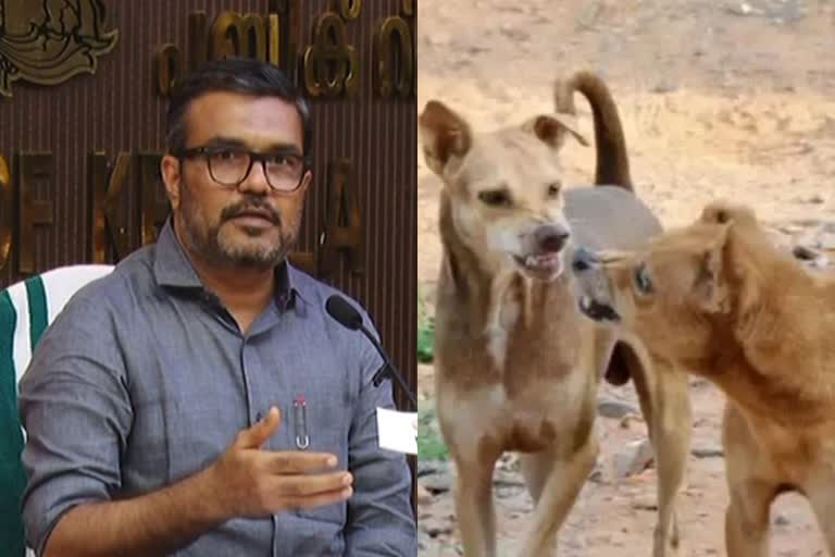 massive vaccination for stray dogs  vaccination for stray dogs  stray dogs  stray dog attack  തെരുവുനായ  സുപ്രീം കോടതി  എം ബി രാജേഷ്  മന്ത്രി എം ബി രാജേഷ്  M B Rajesh