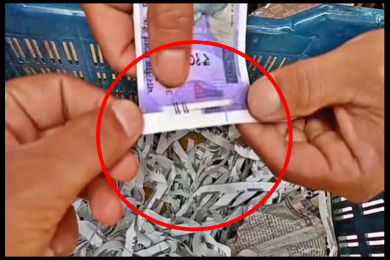 Strips of Indian currency found in fruit cartons in Himachal's Solan