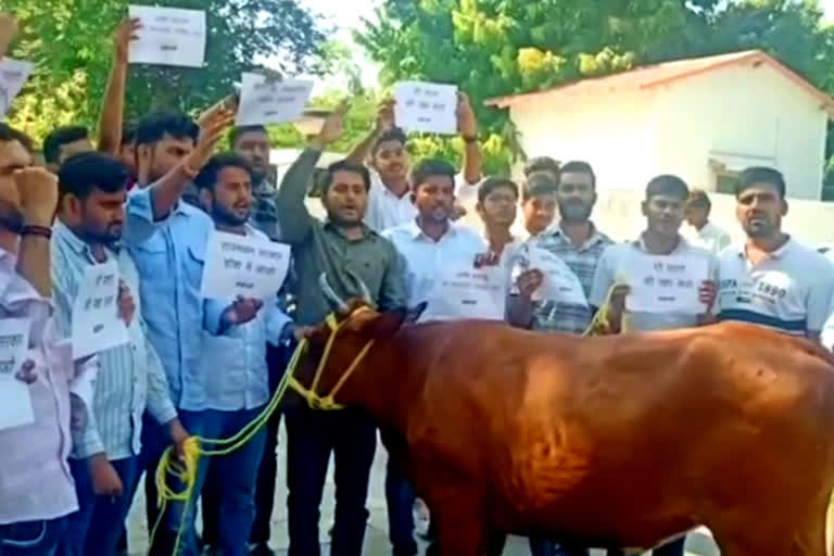 ABVP protest in front of Gopalan Minister house, demand quick action to control lumpy