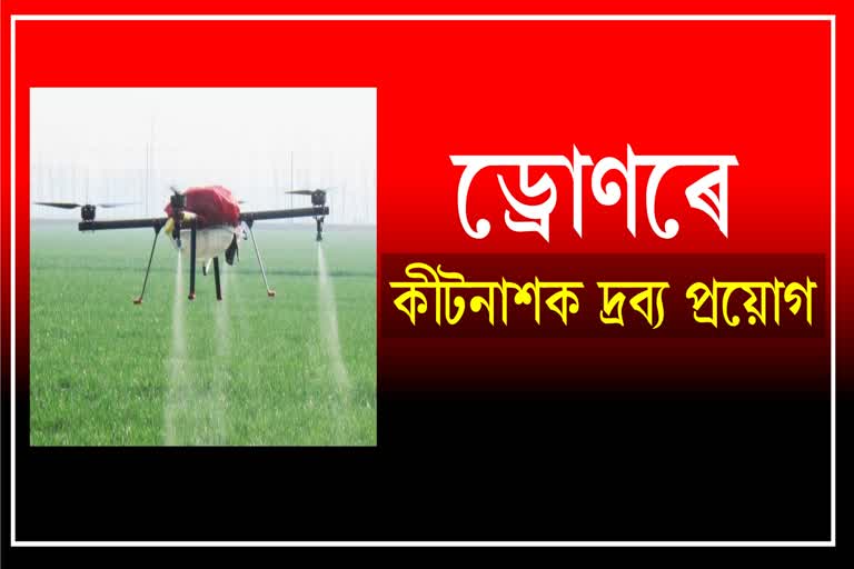 Fertilizers and pesticides will applied to agriculture by drones in Tezpur