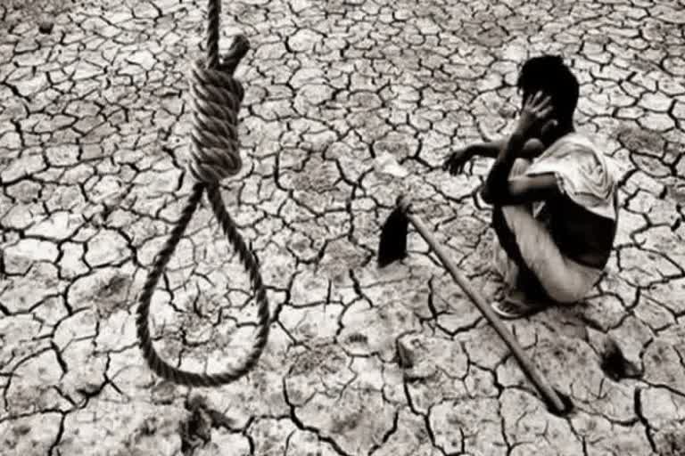 60 Farmers Suicide Yavatmal