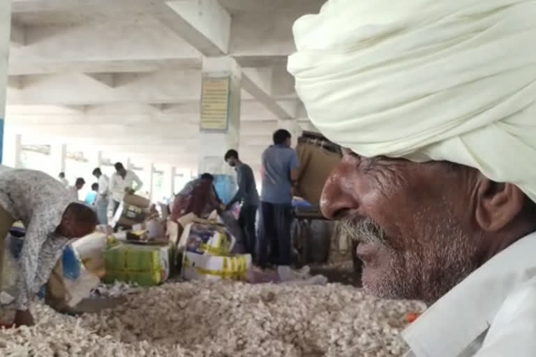 MP: Cong MLAs dump garlic at Assembly gate, accuse state govt of not addressing farmers' woes