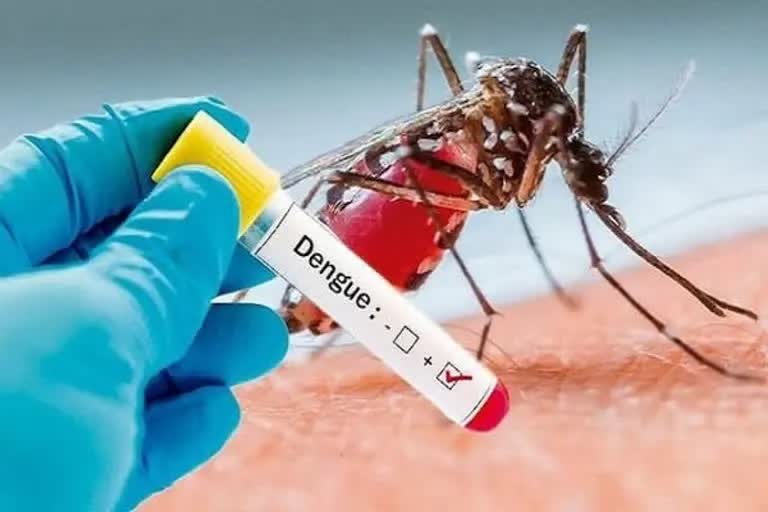 first death in dengue in Siliguri
