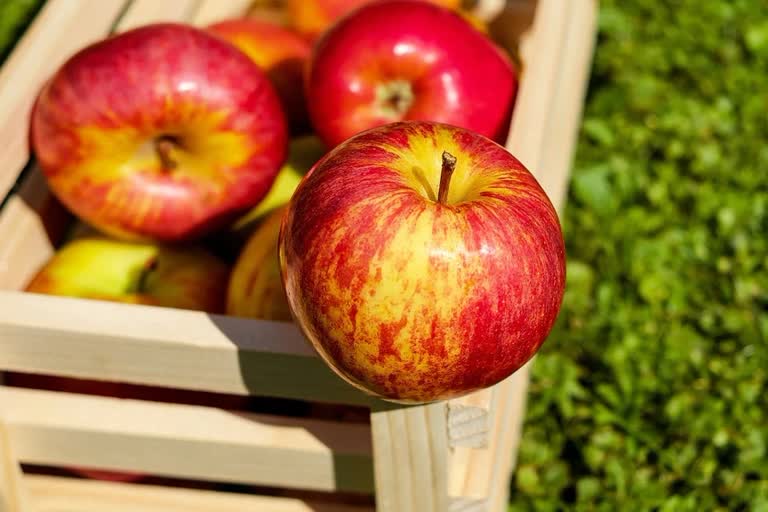 know the side effects of eating too many apples can cause these health issues