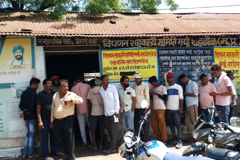 Shahdol Urea crisis increase  farmer upset