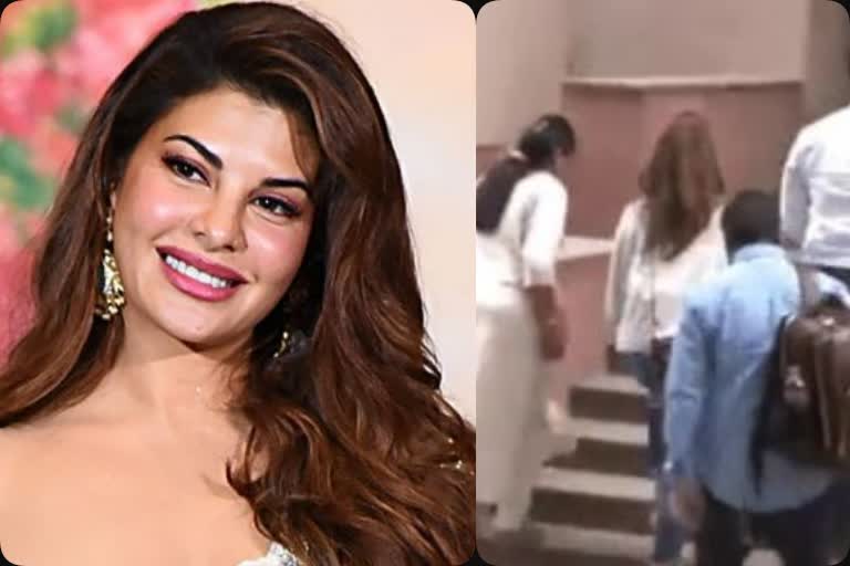 actress Jacqueline Fernandez investigation