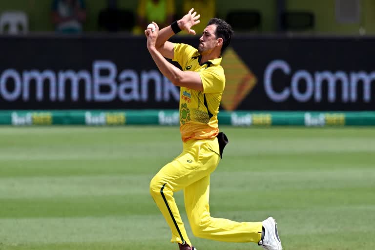 Marsh, Starc, Stoinis ruled out of India tour due to injuries