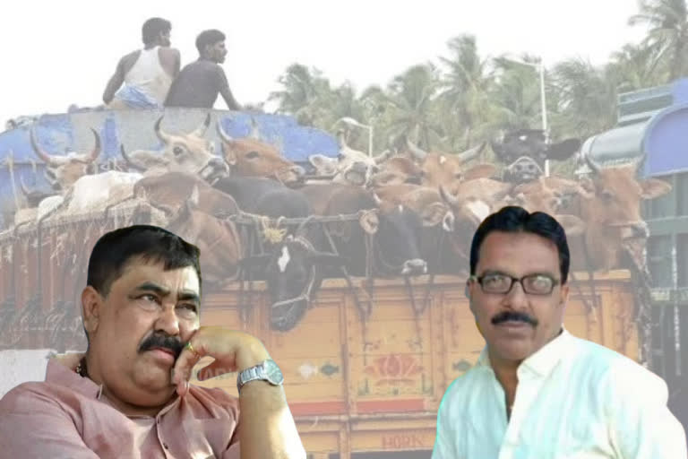 cattle-smuggling-case-cbi-summons-anubrata-mondal-close-businessman-rajeev-bhattacharya