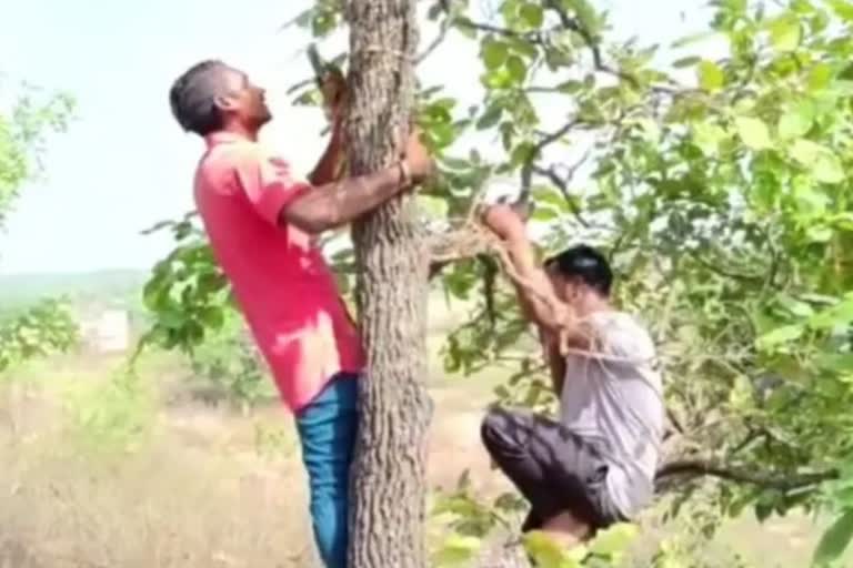 mobile Network  People must go to roof tops  climb trees to make calls  Jharkhand  Koderma village  നെറ്റ്‌വർക്ക്  അക്ഷയ സെന്‍റര്‍  മൊബൈൽ നെറ്റ്‌വര്‍ക്കില്ലാതെ  കോഡെർമ  നെറ്റ്‌വർക്ക് കിട്ടാന്‍ മരം കയറണം  സാങ്കേതിക വിദ്യ  മൊബൈൽ  നെറ്റ്‌വര്‍ക്ക്  ജാര്‍ഖണ്ഡ്  5ജി  ബംഗഖ്‌ലാർ  പ്രജ്ഞ  Village without mobile Network  Jharkhand Koderma village  roof tops or climb trees