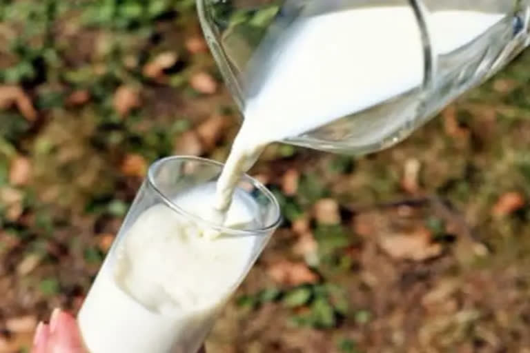 India: From a milk deficit country to world's largest producer