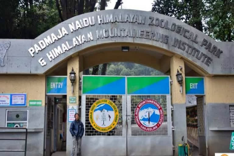 Darjeeling's Padmaja Naidu Himalayan Zoological Park ranked first in country
