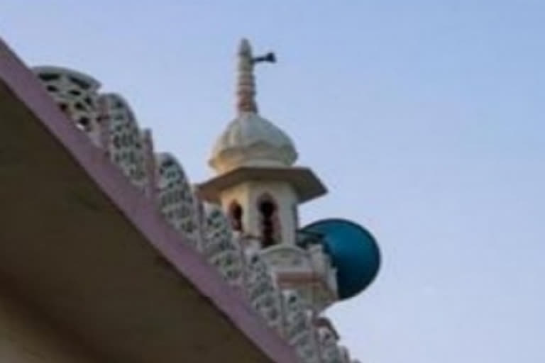 Plea filed in Mathura for removal of another mosque