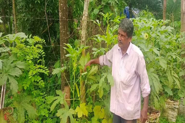 Empty place beside the National Highway farmer grow vegetables