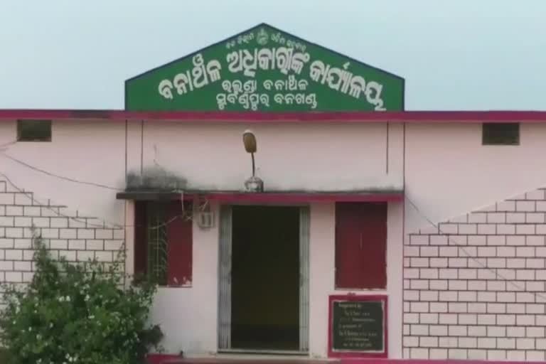 କଲରାପତରିଆ ବାଘ ମୃତ୍ୟୁ ଘଟଣା, ୨ଜଣ ଗିରଫ