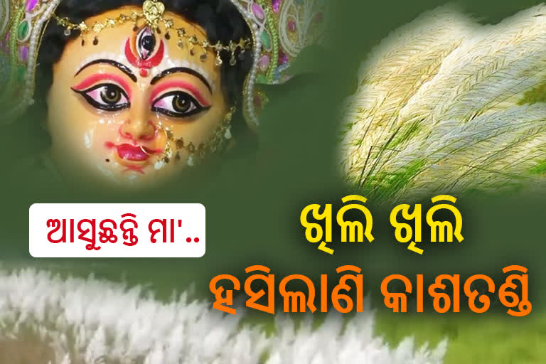 ପାର୍ବଣରେ କାଶତଣ୍ଡିର ସମ୍ଭାର, ଆନମନା କବି ଲେଖକ