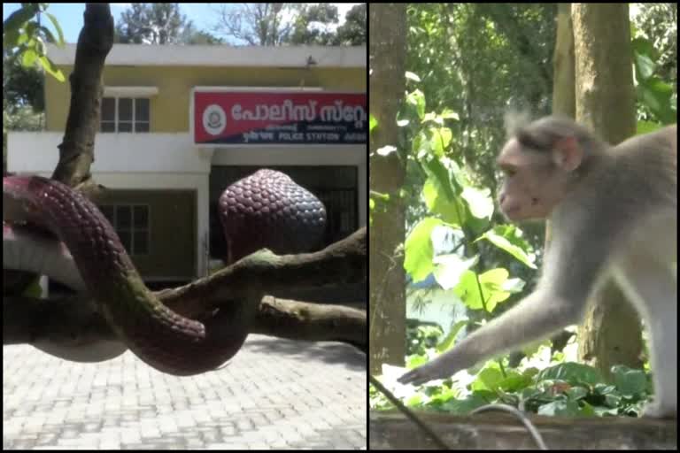 Kambammettu police station  rubber snakes protection from monkeys  റബ്ബര്‍ പാമ്പ് തന്ത്രം  റബ്ബര്‍ പാമ്പ്  പൊലീസ് സ്റ്റേഷനില്‍ അതിക്രമം  Violence at the police station  ചൈനീസ് റബ്ബര്‍ പാമ്പുകള്‍  Chinese rubber snakes