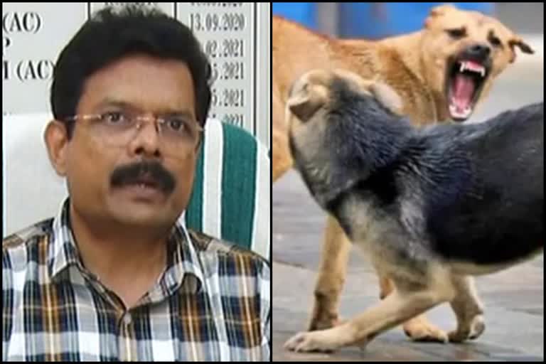 Effective vaccination against stray dog attack  stray dog attack  കെസി പ്രസാദ്  തെരുവുനായകളുടെ ആക്രമണം  stray dogs attack  വളര്‍ത്തുമൃഗങ്ങള്‍ക്കടക്കം വാക്‌സിനേഷന്‍  Vaccination including pets  വെറ്ററിനറി വിദഗ്‌ധന്‍