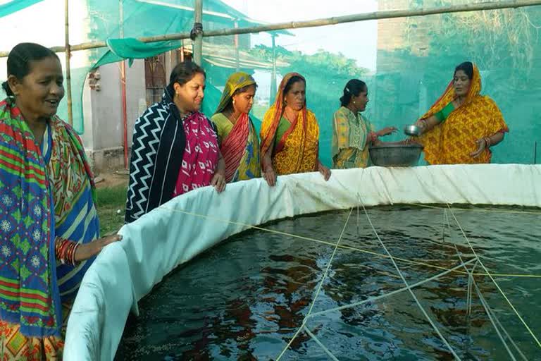 biofloc fish farming in boudh