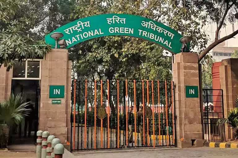 NGT imposes penalty on Gehlot Government