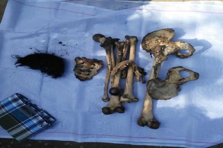 Male skeleton found in Urga police station