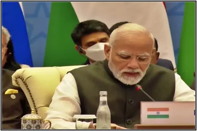 pm narendra modi in sco