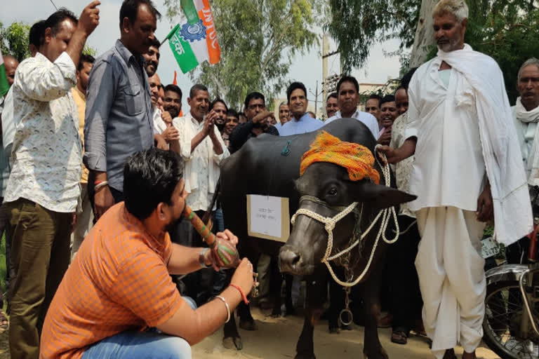 PHED workers warn agitation for their demands, protest held in Jaipur