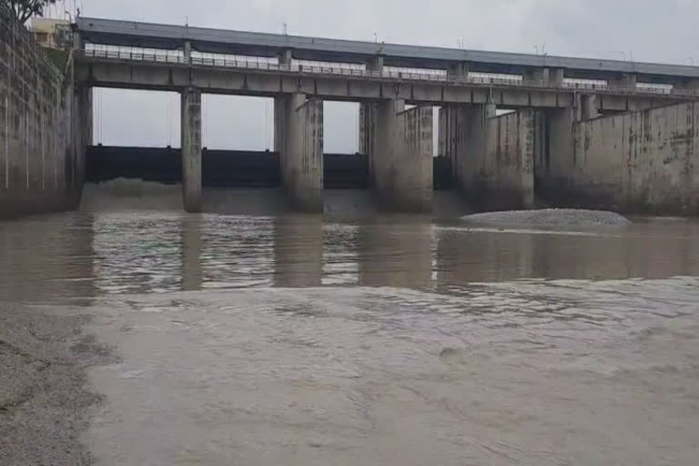 dam construction protest in Yamunanagar