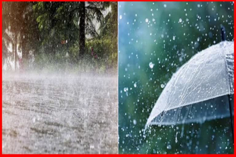 Maharashtra Rain update: