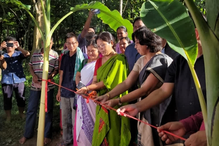 nandita garlocha inaugurated amrit sarobar project