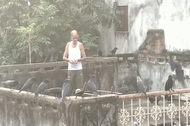 unique friend of crows in Dhamtari