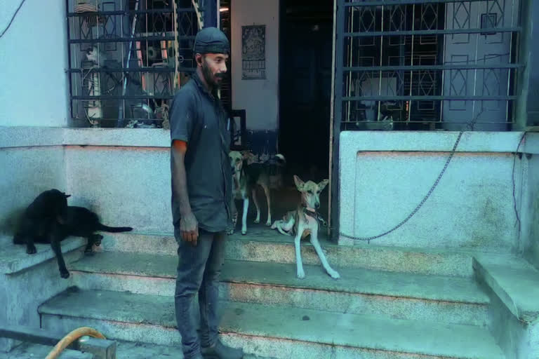 Kannur Man Protecting Stray Dogs  Man Protecting Stray Dogs in kannur  Kannur Muzhathadam  തെരുവ് നായകള്‍ക്ക് സംരക്ഷണമൊരുക്കി യുവാവ്  കണ്ണൂർ മുഴത്തടം  തെരുവ് നായ സംരക്ഷണകേന്ദ്രം  കണ്ണൂര്‍ തെരുവ് നായ