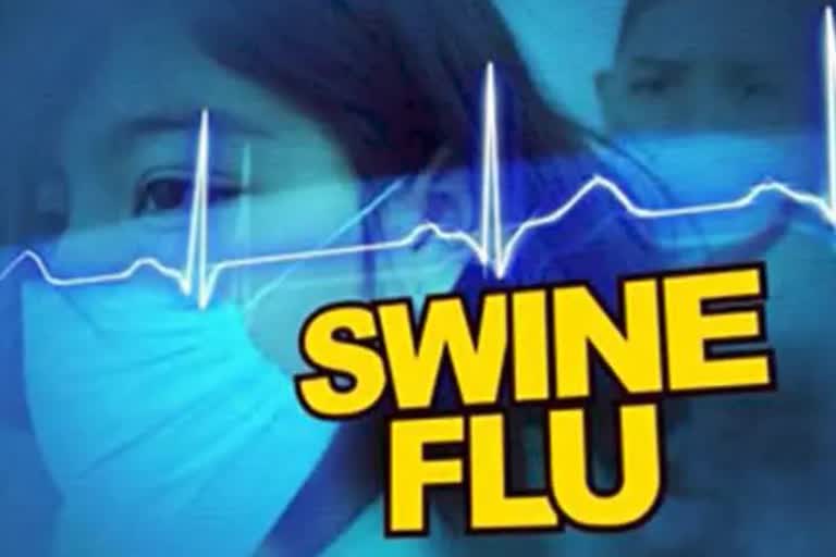 swine flu in chhattisgarh