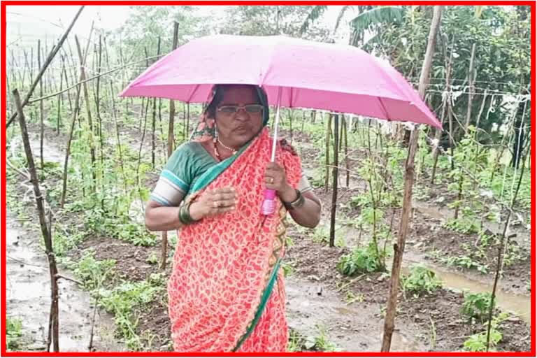 Padmashri Rahibai Demanded to Government