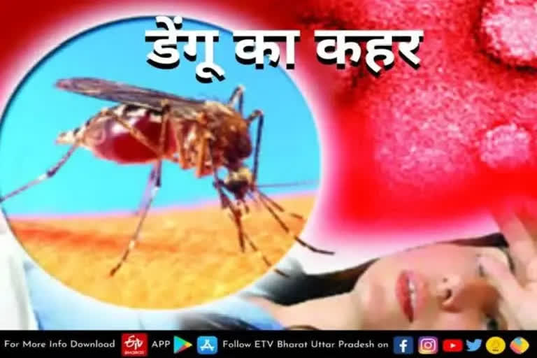 Dengue