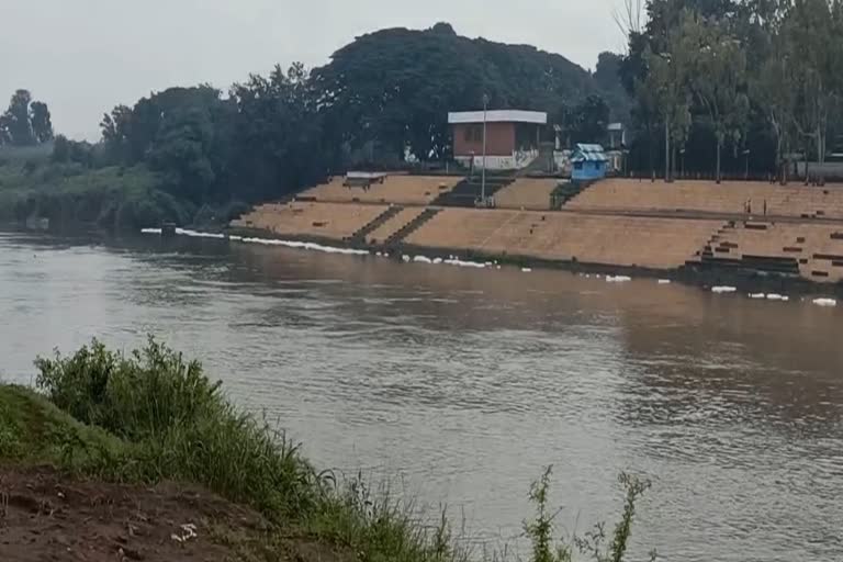 krishna river pollution