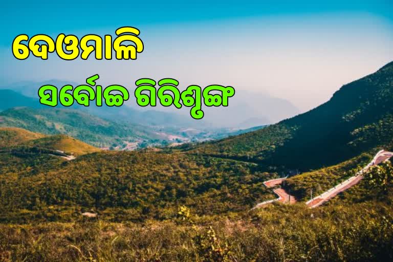 deomali highest mountain of odisha say rti