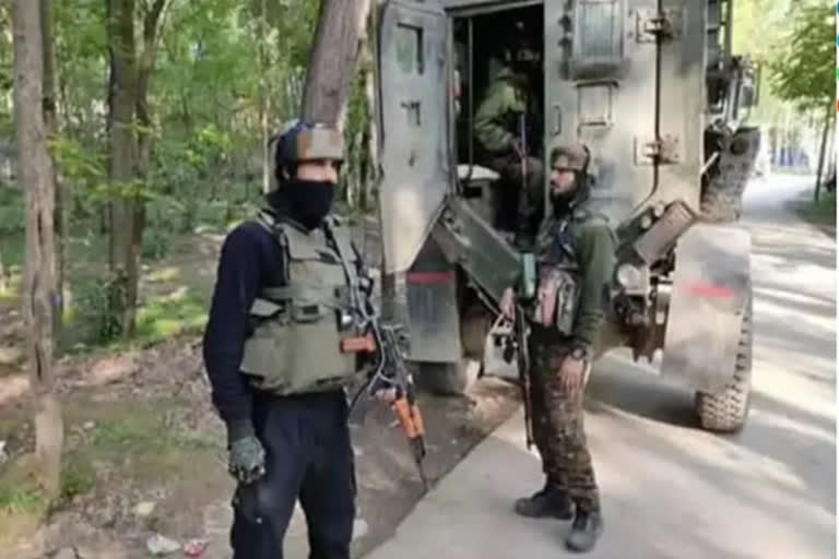 Forces launch search operation in Herman shopian village