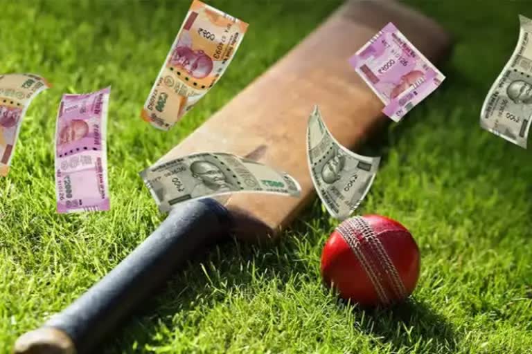 Cricket betting case