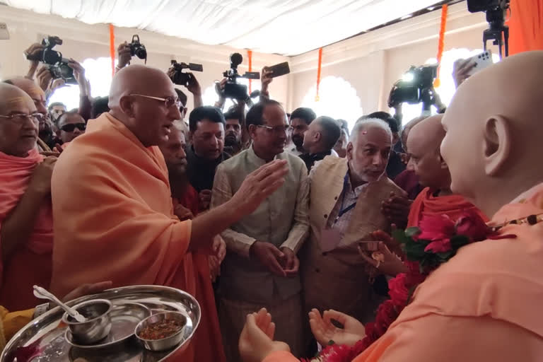 statue Swami Satyamitranand Giri