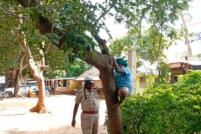 farmer-tried-to-commit-suicide-by-climbing-tree-near-ac-office