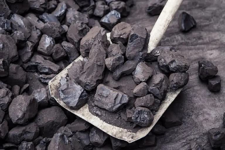 coal mining field in Assam