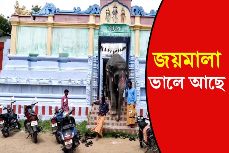 Assam State Forest Department officials inspected the Jayamala elephant in person