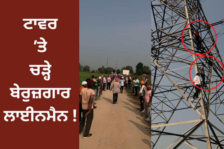 Jobless linemens climb atop electricity tower