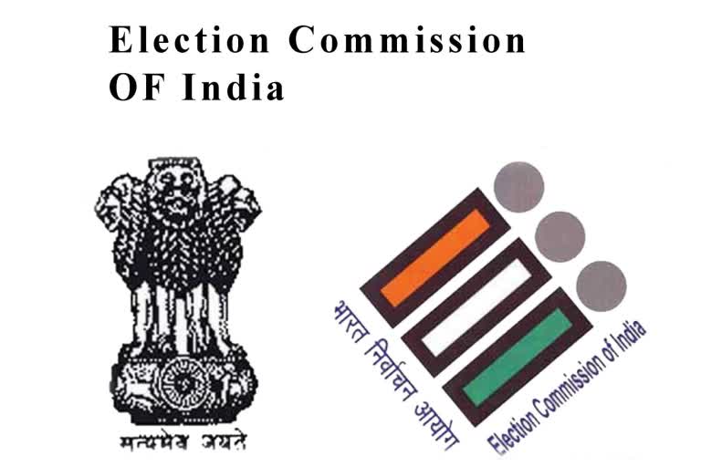 Teacher and Graduate Constituency Elections