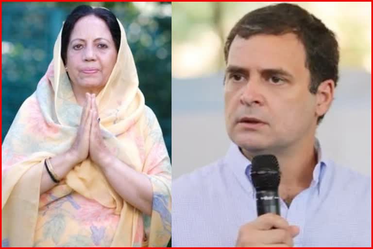 Pratibha Singh statement on Rahul Gandhi